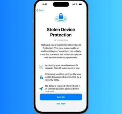 石河子苹果授权维修店分享被盗设备保护功能开启方法 