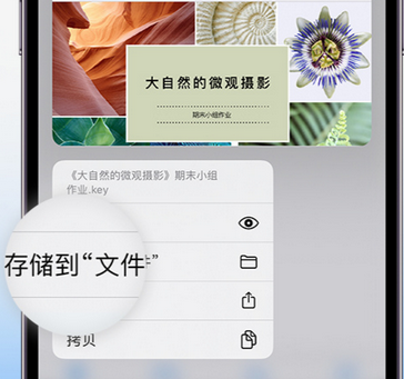 石河子apple维修中心分享iPhone文件应用中存储和找到下载文件