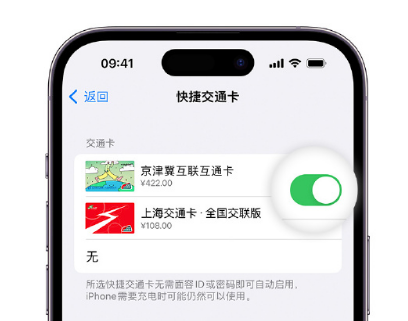 石河子apple维修点分享iPhone上更换Apple Pay快捷交通卡手绘卡面 