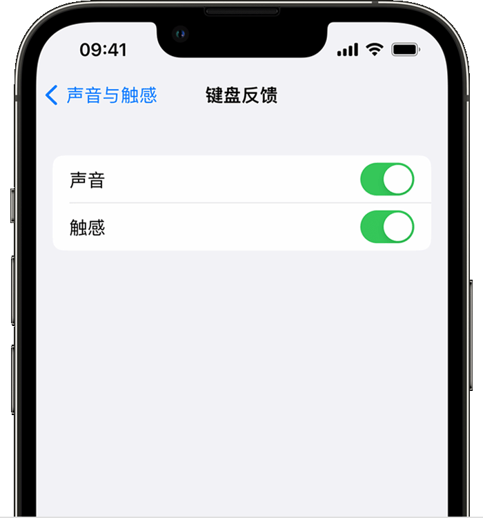 石河子苹果14维修店分享如何在 iPhone 14 机型中使用触感键盘 