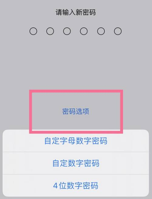 石河子苹果14维修分享iPhone 14plus设置密码的方法 