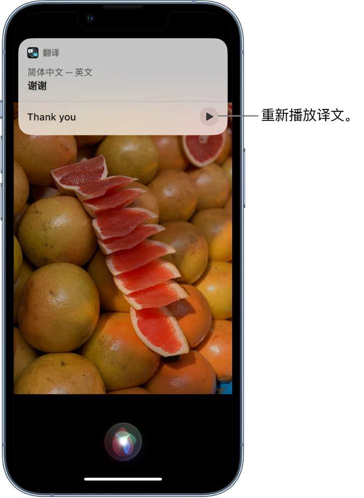 石河子苹果14维修分享 iPhone 14 机型中使用 Siri：了解 Siri 能帮你做什么 