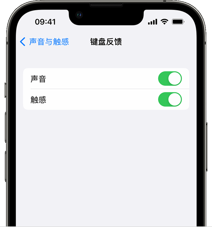 石河子苹果14维修分享iPhone 14 系列机型如何开启键盘声音或触感反馈 