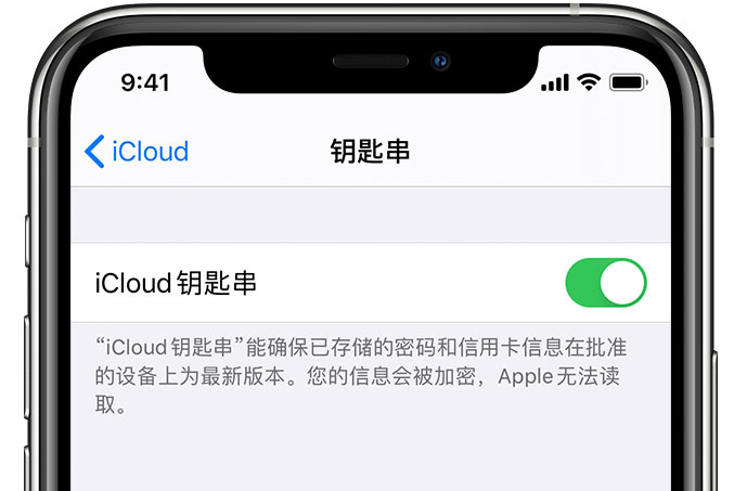 石河子苹果手机维修分享在 iPhone 上开启 iCloud 钥匙串之后会储存哪些信息 