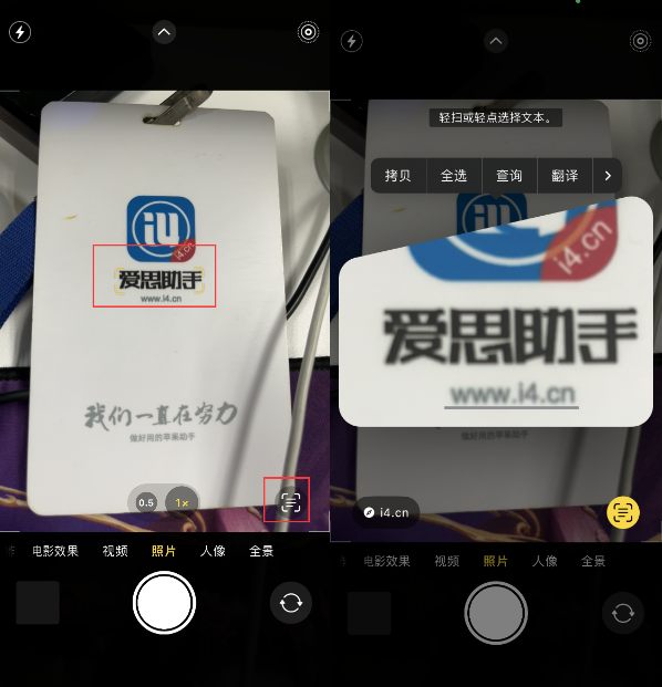 石河子苹果手机维修分享升级iOS 16后如何通过相机翻译文本 
