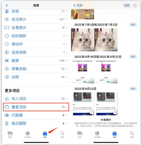 石河子苹果手机维修分享iOS 16 中相册重复项目功能使用方法 