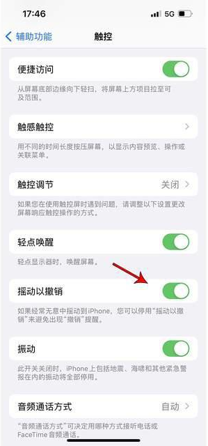 石河子苹果手机维修分享iPhone手机如何设置摇一摇删除文字 