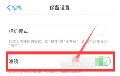 石河子苹果13维修分享iPhone13拍照有绿点是怎么回事 