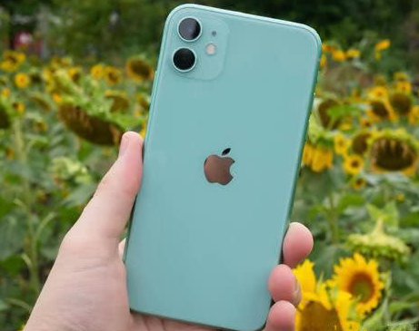 石河子苹果维修点分享iPhone 11锁屏密码认知与使用科普 